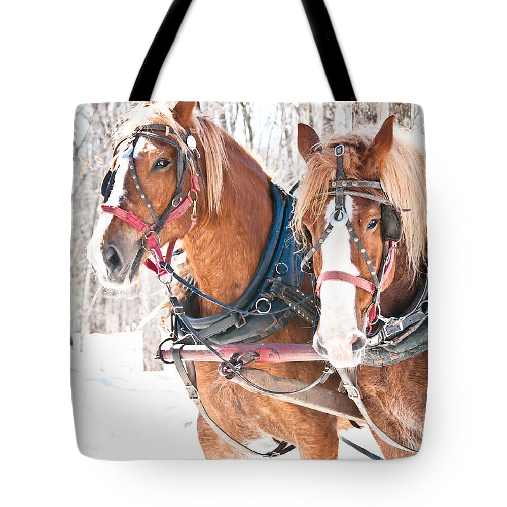 Maple Syrup Tote Bag featuring the photograph Gentle Giants by Cheryl Baxter