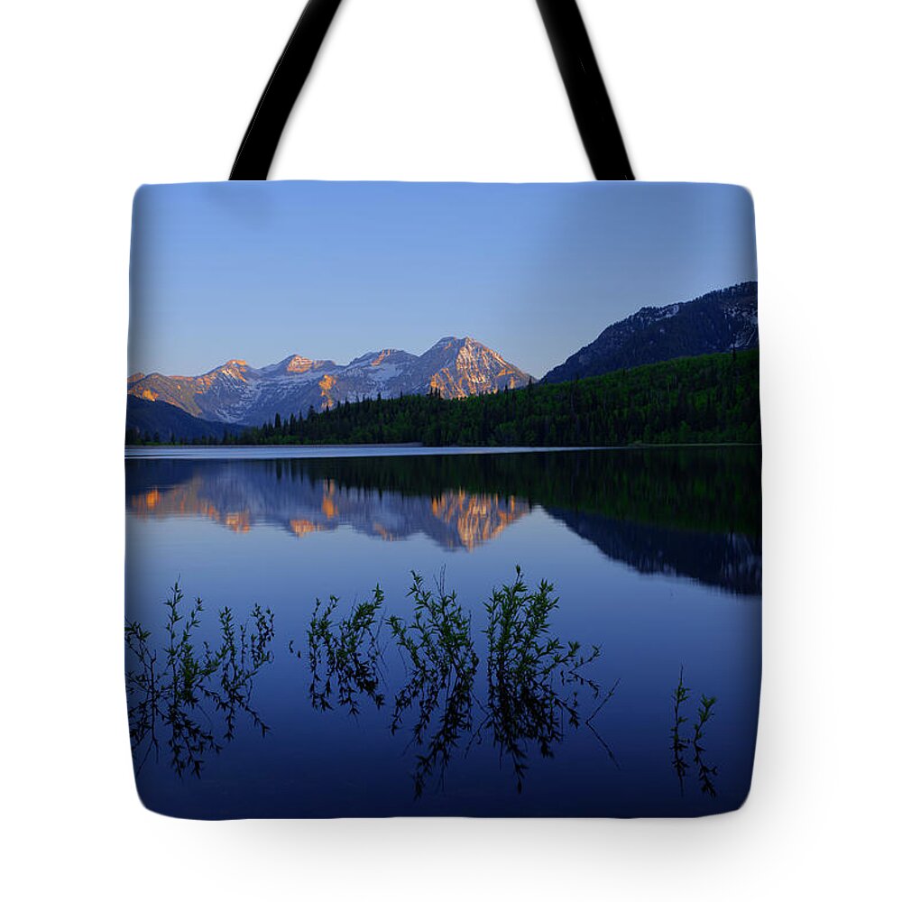 Chad Dutson Tote Bag featuring the photograph Gentle Spring by Chad Dutson