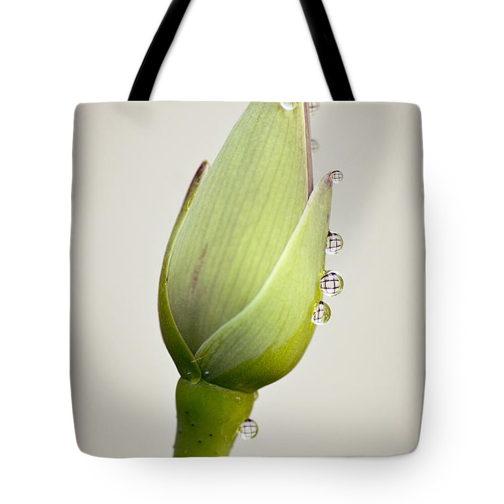 Lotus Tote Bag featuring the photograph Geometric Drops by Priya Ghose