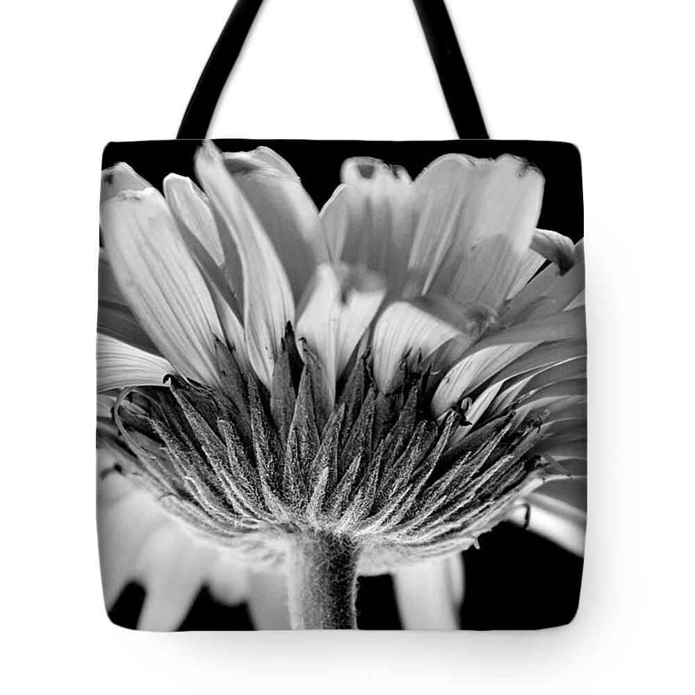 Greeting Tote Bag featuring the photograph Gerber Daisy in BW by Deborah Crew-Johnson