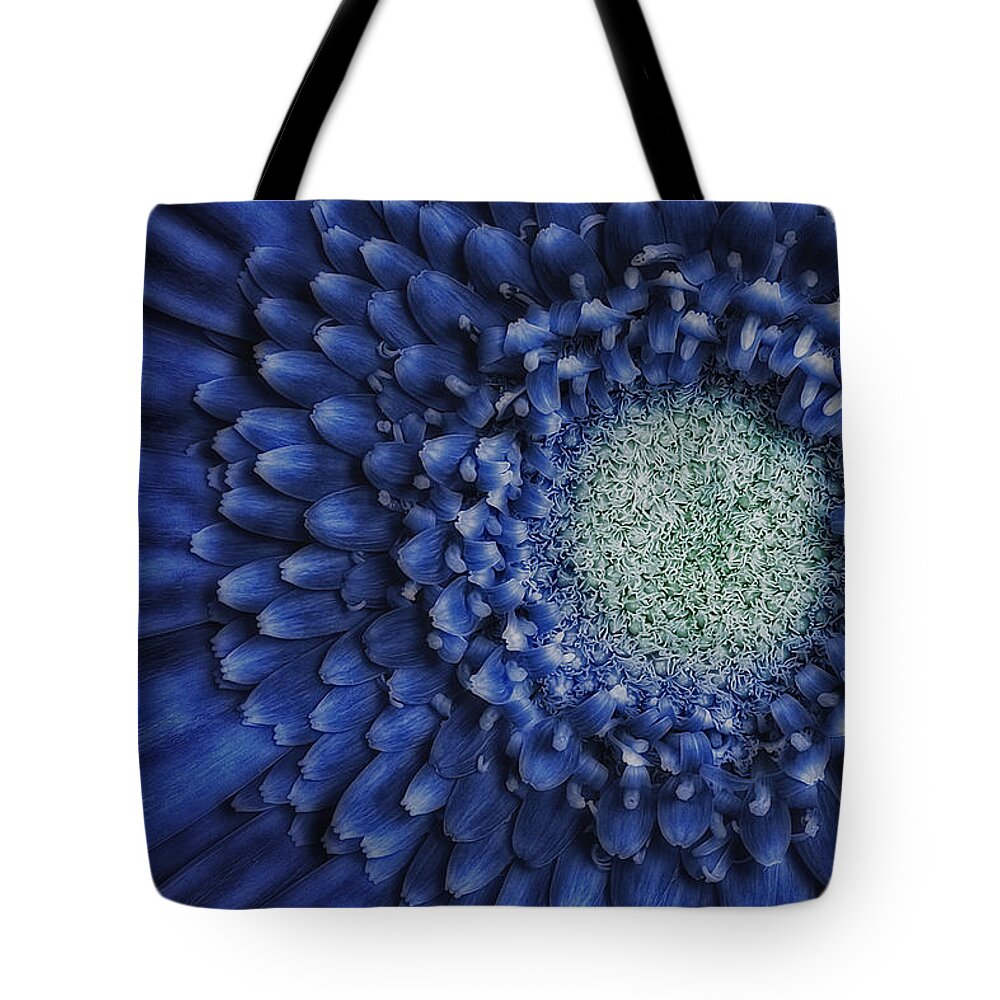 Anniversary Tote Bag featuring the photograph Gerbera Daisy by Susan Candelario