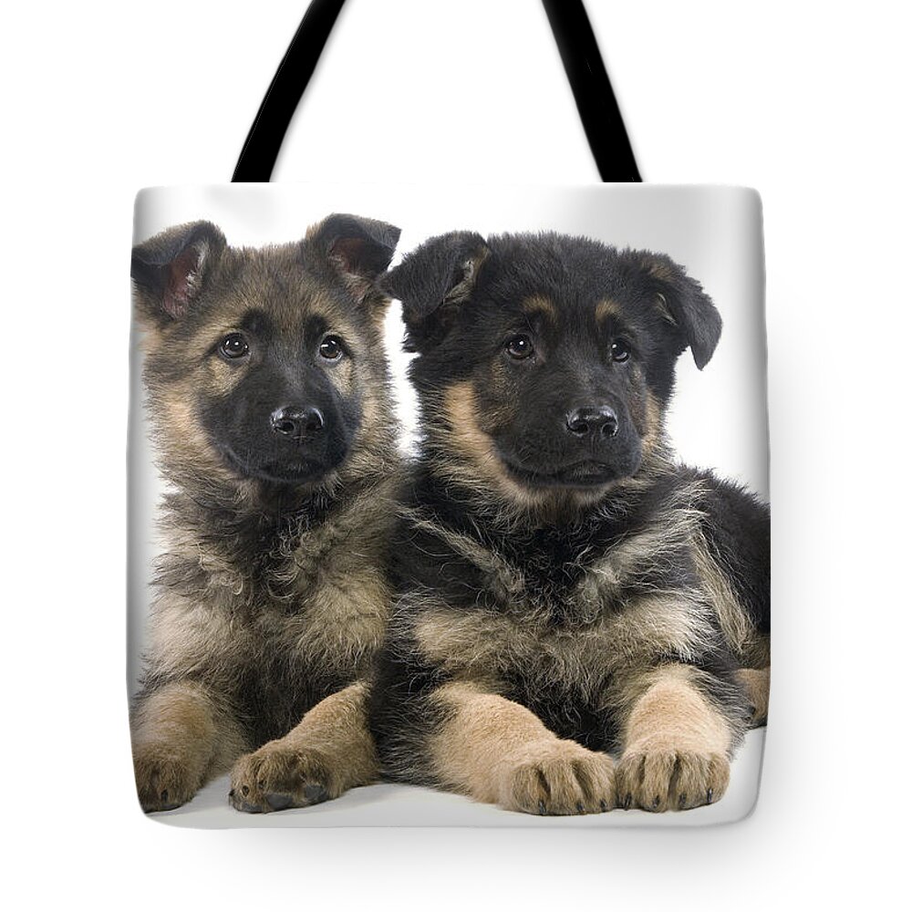 Dog Tote Bag featuring the photograph German Shepherd Puppies by Jean-Michel Labat