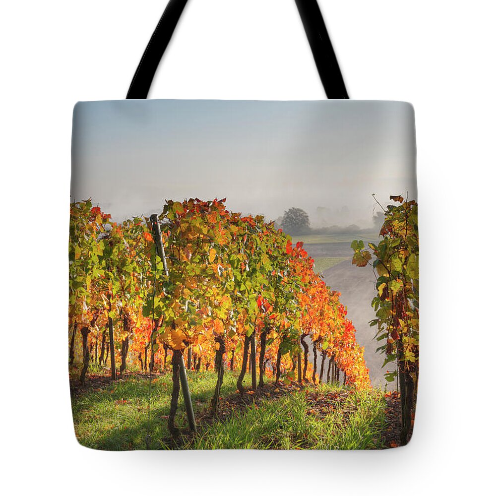 Tranquility Tote Bag featuring the photograph Germany, Bavaria, Theilheimer Mainleite by Westend61