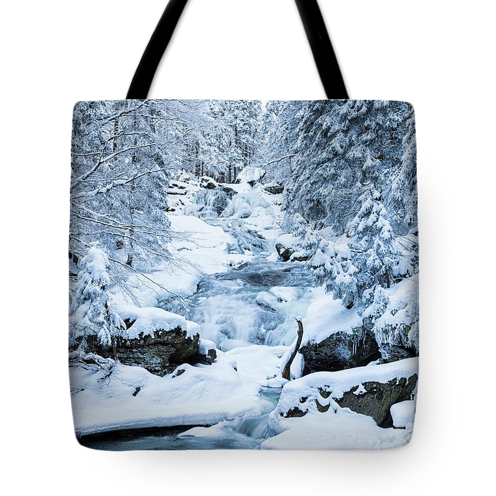 Scenics Tote Bag featuring the photograph Germany, Bavaria, View Of Riesloch by Westend61