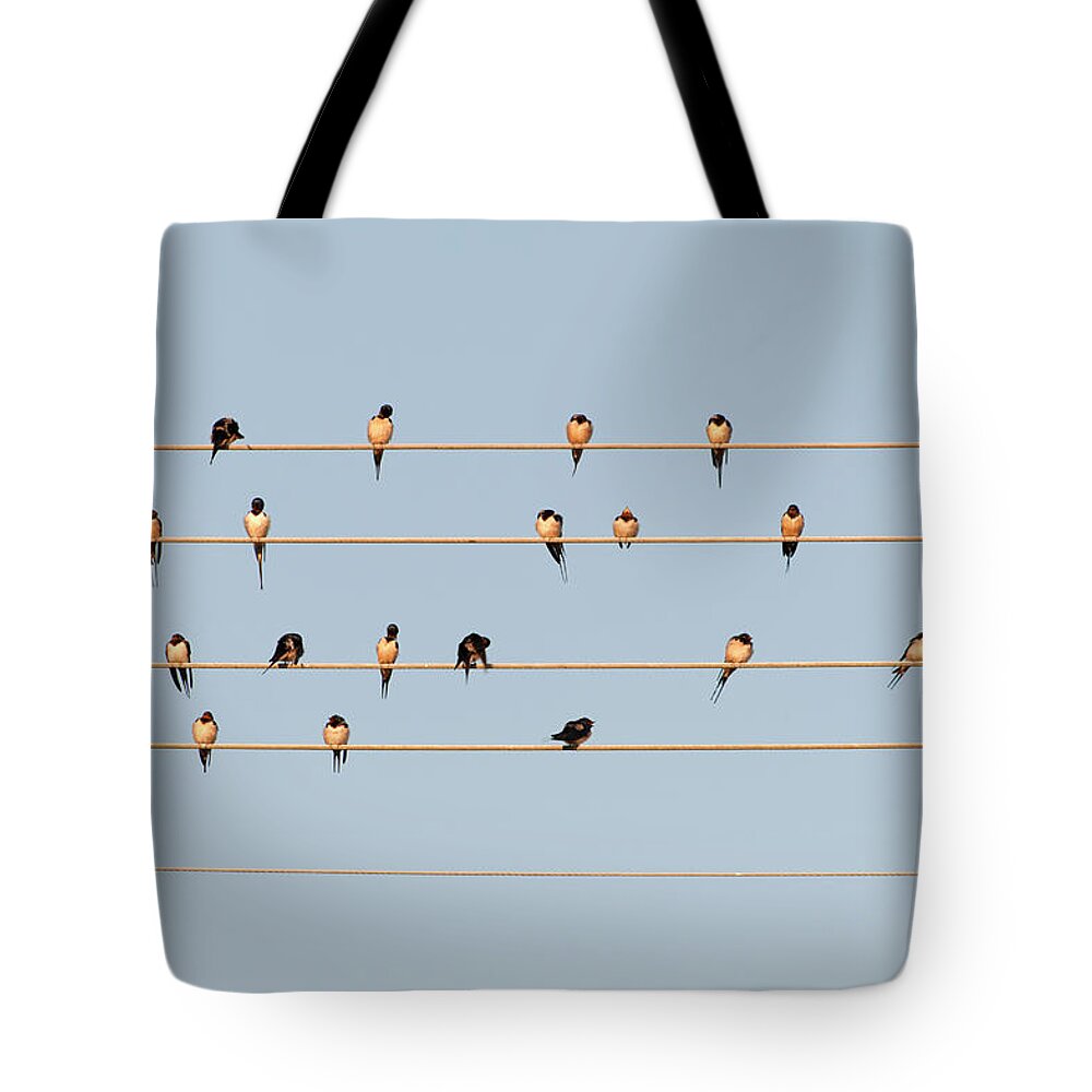 In A Row Tote Bag featuring the photograph Germany, Unteruhldingen, Flock Of Barn by Westend61