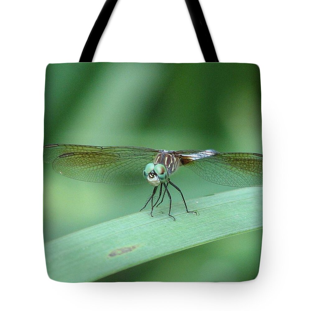 Dragonfly Tote Bag featuring the photograph Get a Grip by Cleaster Cotton