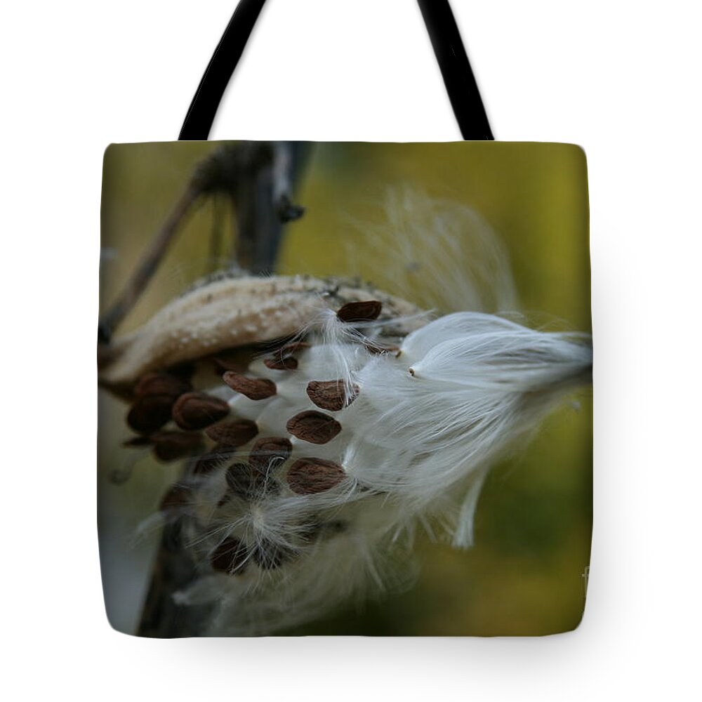 Milkweed Pod Tote Bag featuring the photograph Getting Ready for Flight No.3 by Neal Eslinger