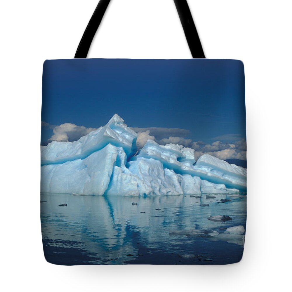 Alexander Archipelago Tote Bag featuring the photograph Giant Ice Floes by Ron Sanford