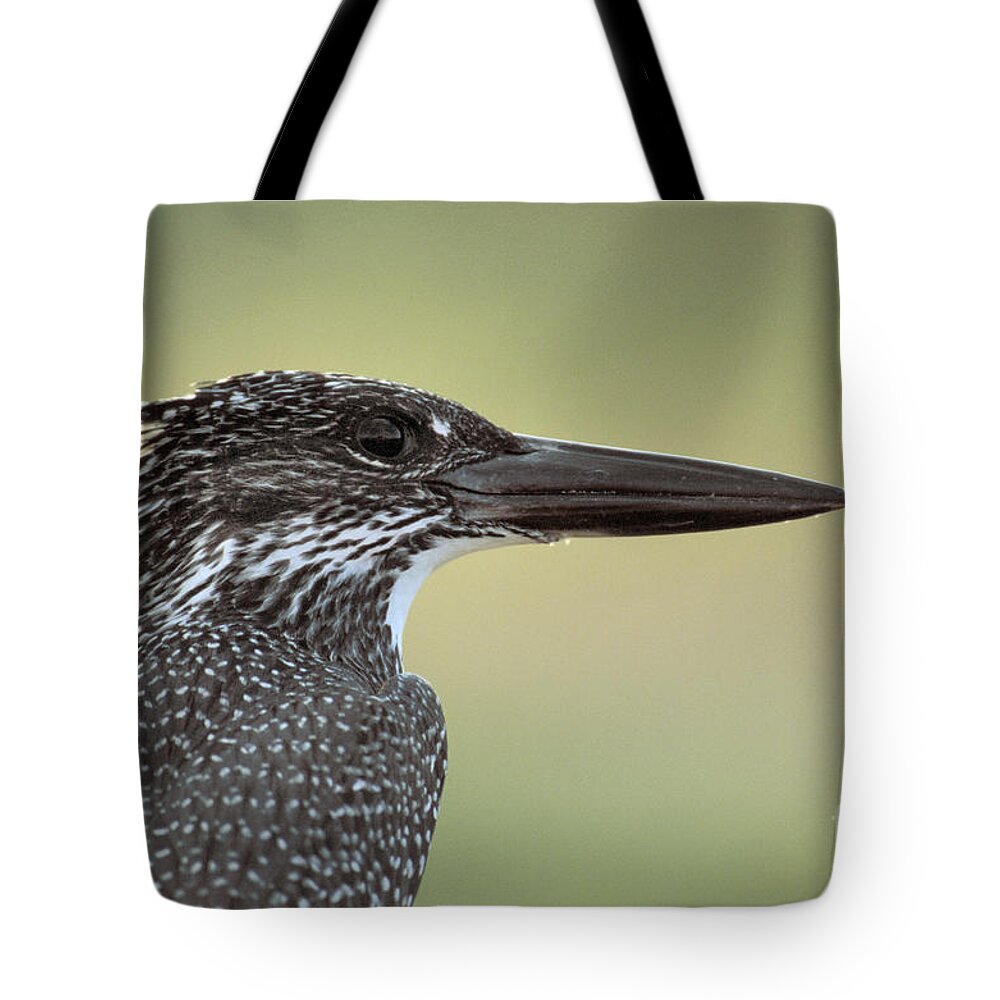 Horizontal Tote Bag featuring the photograph Giant Kingfisher by Mark Newman