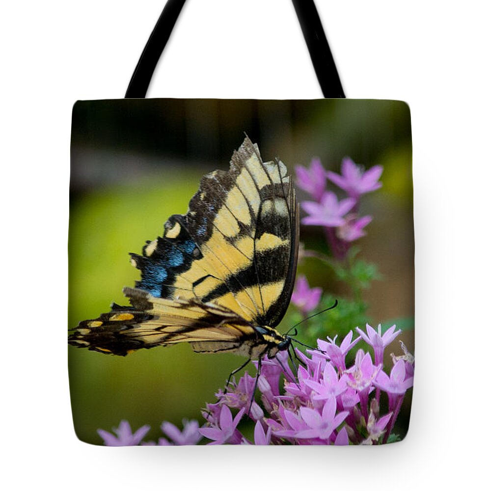 Giant Tote Bag featuring the photograph Giant Swallowtail by Angela DeFrias