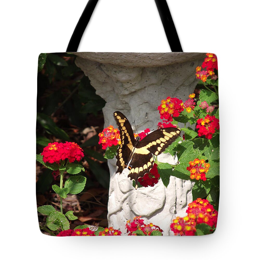 Swallowtail Tote Bag featuring the photograph Giant Swallowtail on Lantana by Jayne Wilson