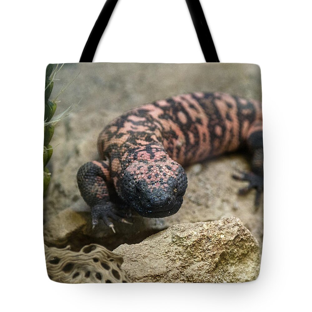 Nature Tote Bag featuring the photograph Gila Monster by Mark Newman