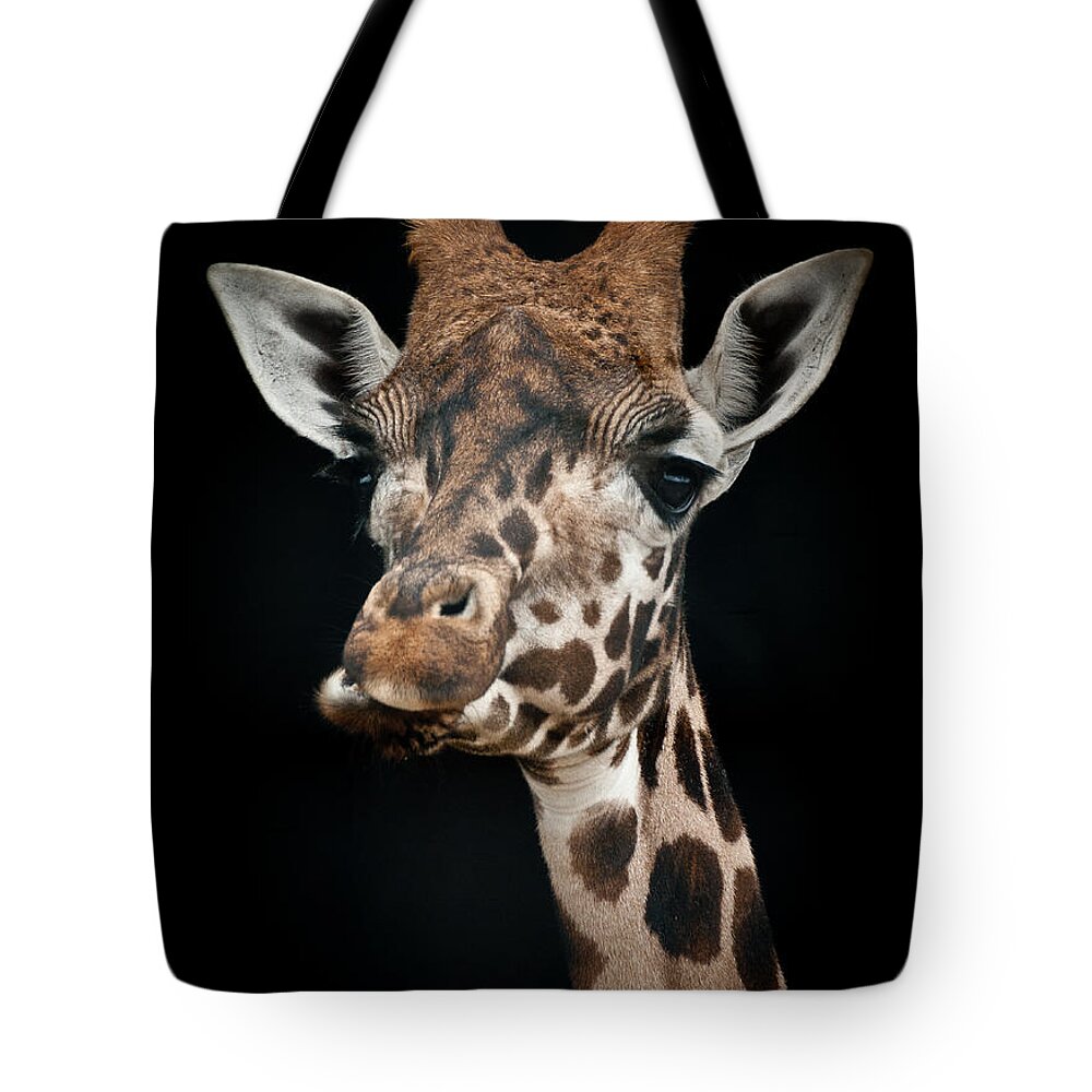 Animal Tote Bag featuring the photograph Giraffe by Chris Boulton