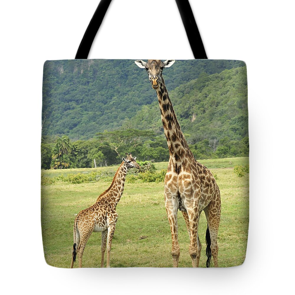 Thomas Marent Tote Bag featuring the photograph Giraffe Mother And Calftanzania by Thomas Marent