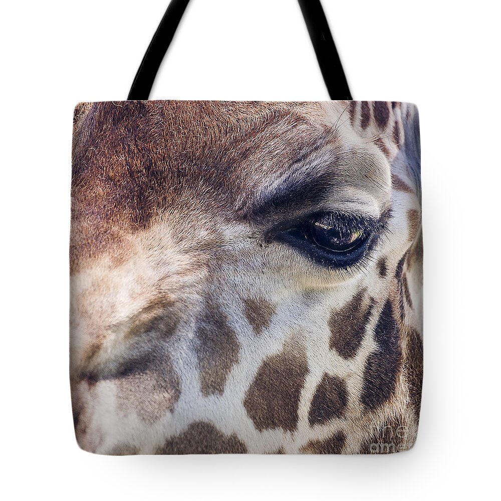 Nimals Tote Bag featuring the photograph Giraffe by Steven Ralser