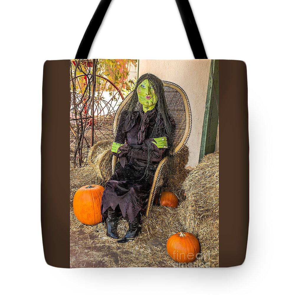 Halloween Tote Bag featuring the photograph Give Me A Kiss by Sue Smith