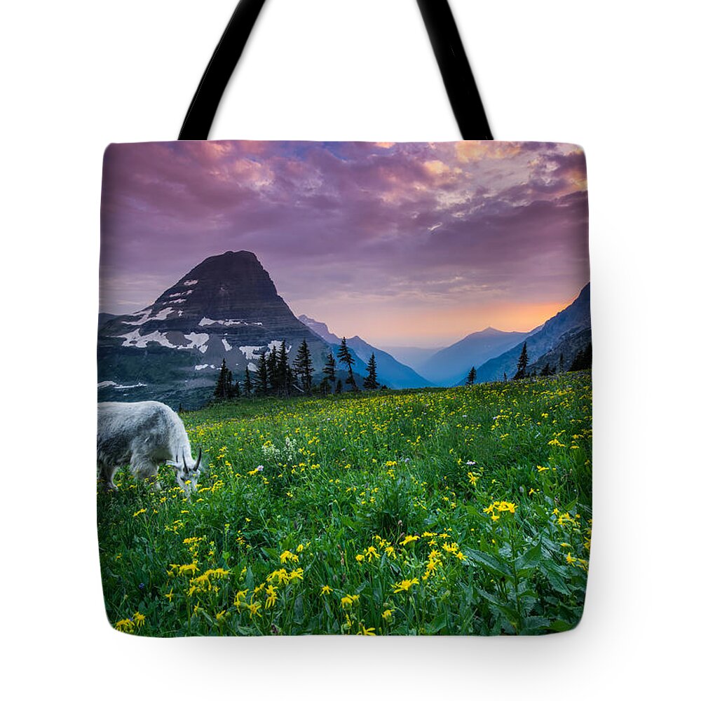 Clouds Tote Bag featuring the photograph Glacier National Park 4 by Larry Marshall