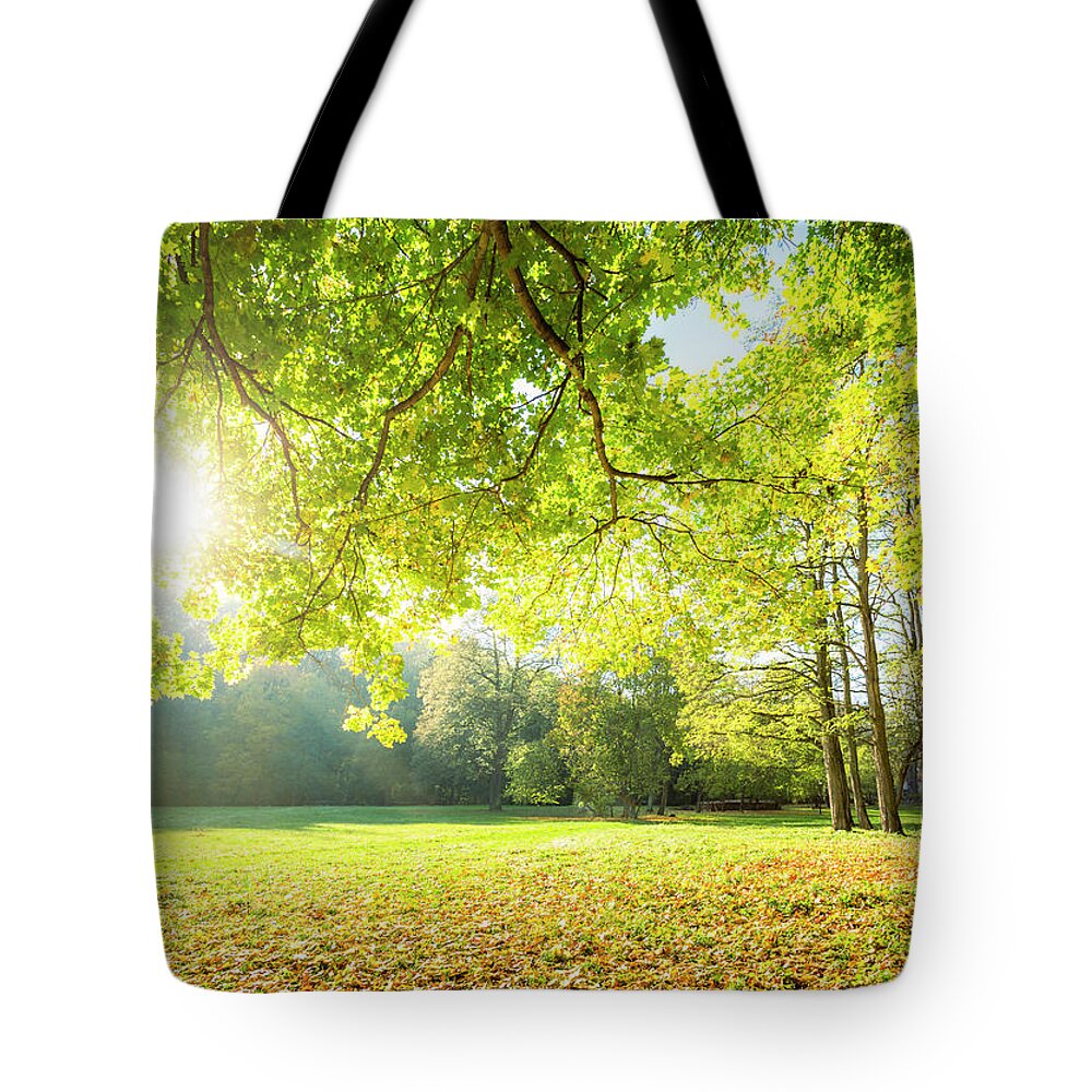 Scenics Tote Bag featuring the photograph Glade by Spooh