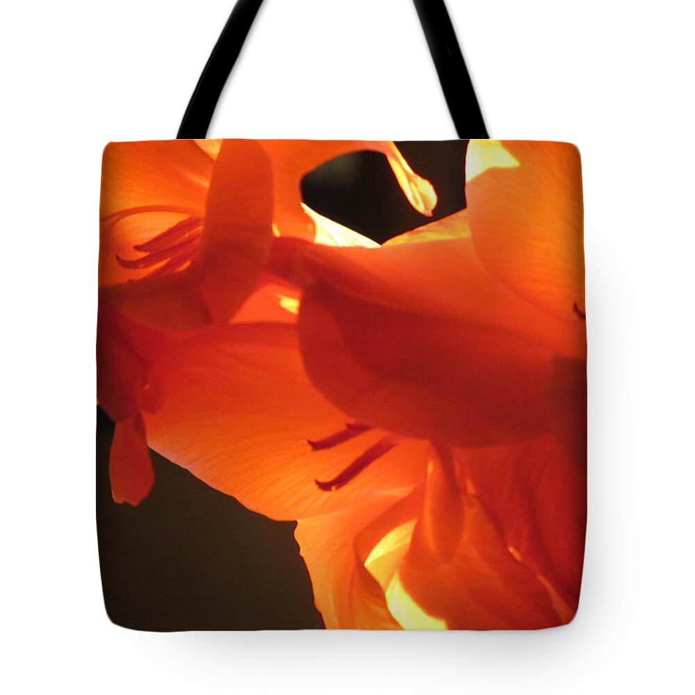 Flower Tote Bag featuring the photograph Gladiola Close Up 3 by Anita Burgermeister