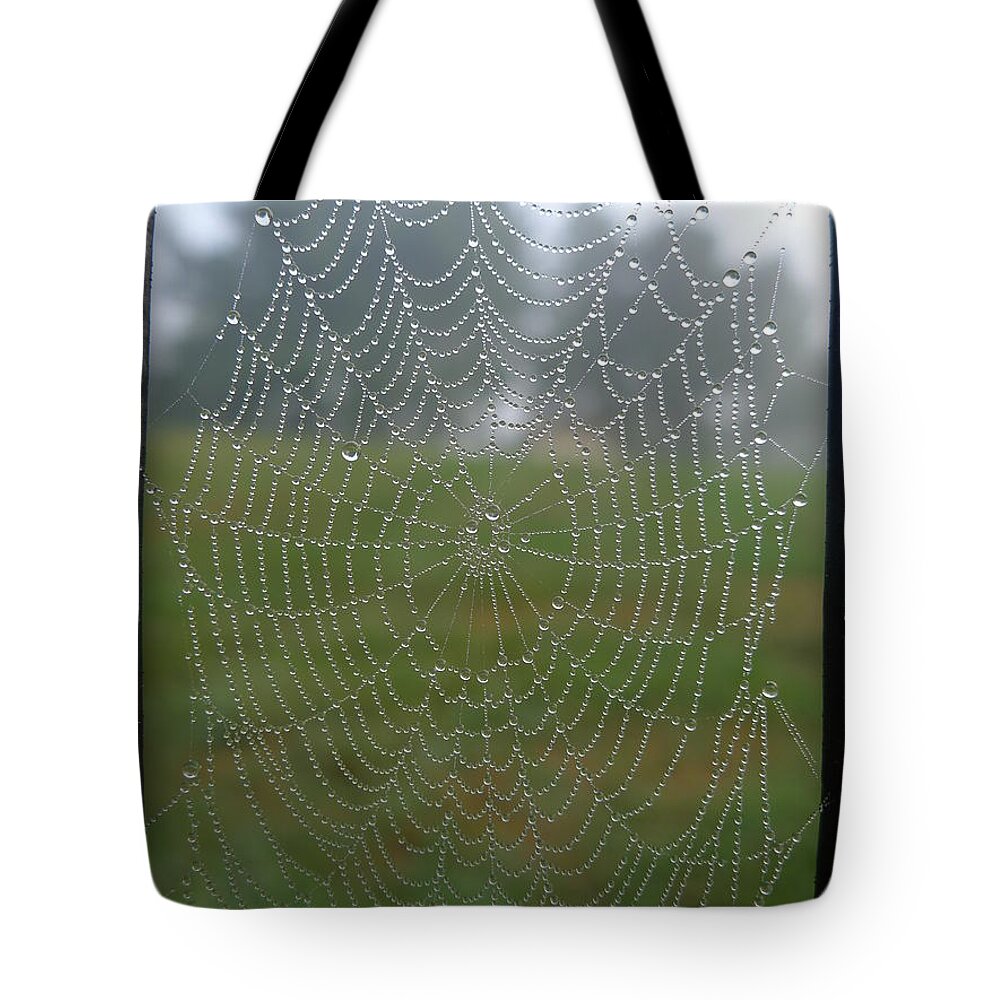 Web Tote Bag featuring the photograph Glassy Dew Drops by Richard Reeve