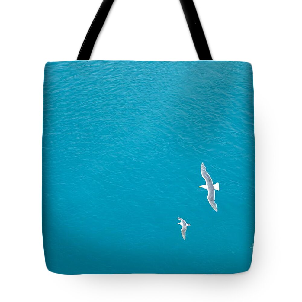 Birds Tote Bag featuring the photograph Gliding Seagulls by Jacqueline Athmann