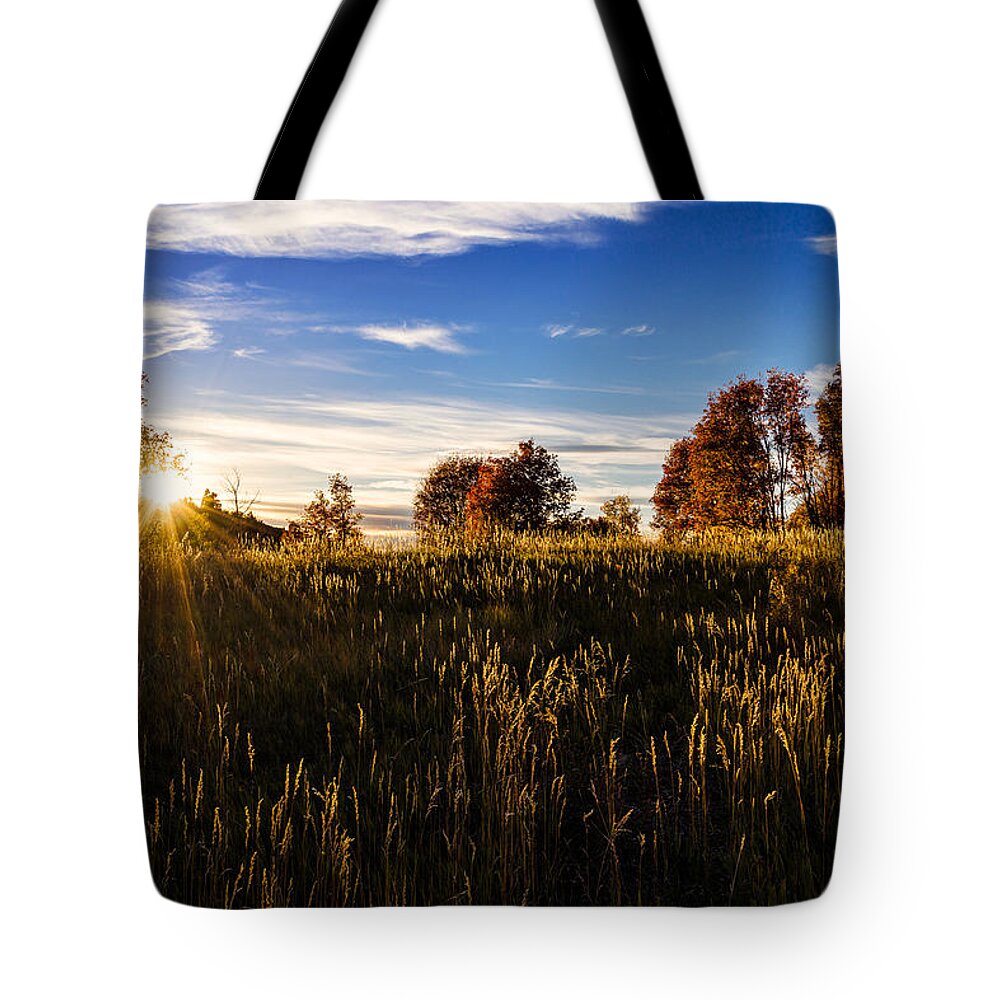 Nature Tote Bag featuring the photograph Glisten by Chad Dutson