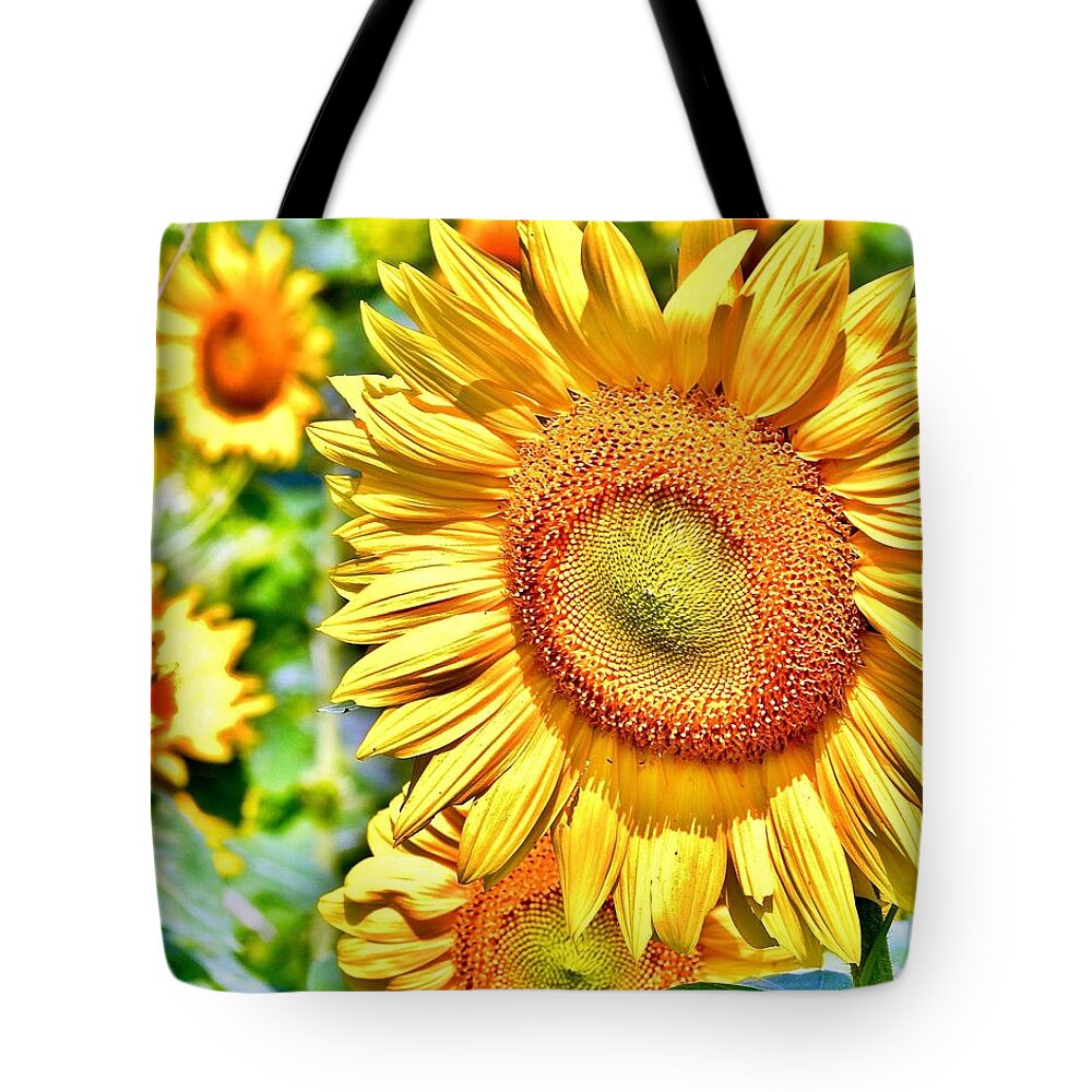 Flower Tote Bag featuring the photograph Glorious Sunflowers by Kim Bemis