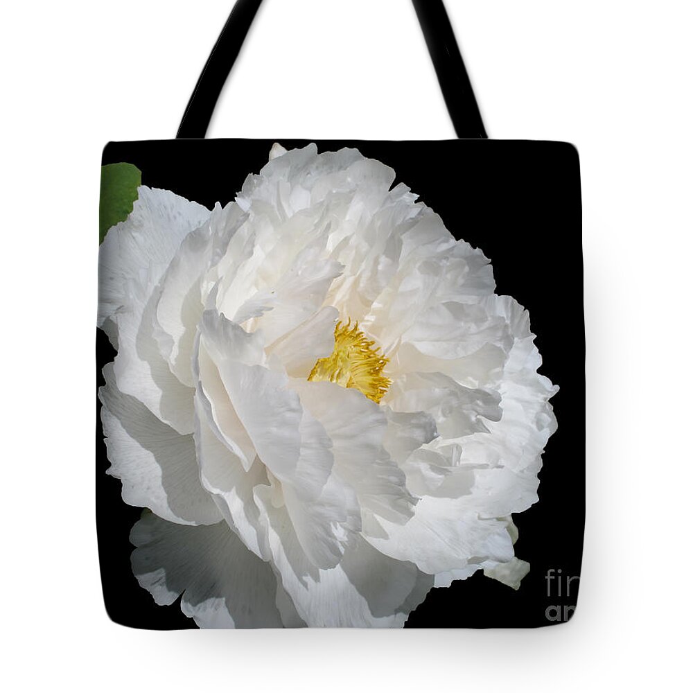 Peony Tote Bag featuring the photograph Glow by Arlene Carmel