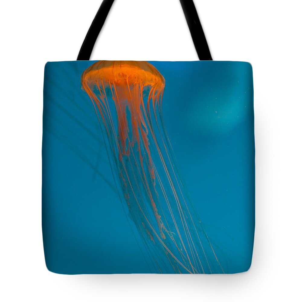 Jellyfish Tote Bag featuring the photograph Glowing Orange Sea Nettle by Scott Campbell