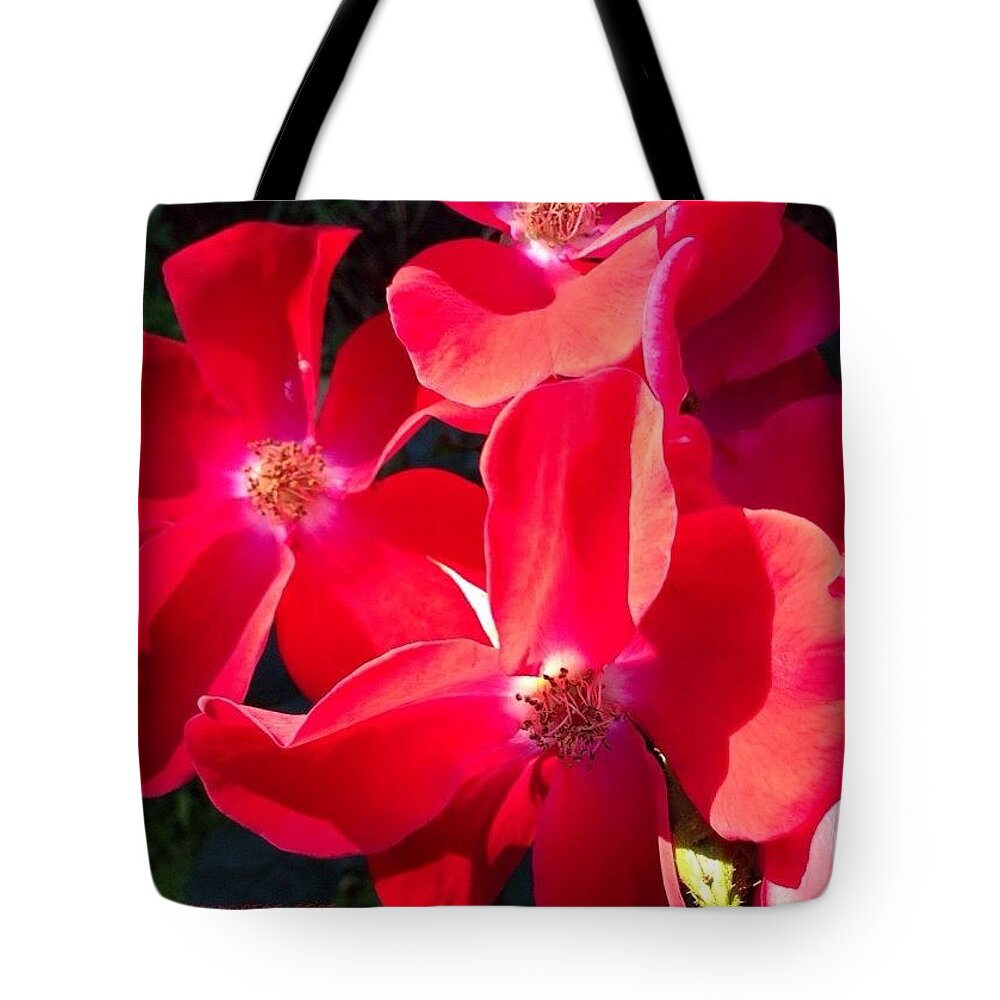 Glowing Tote Bag featuring the photograph Glowing Red Roses by Anna Porter