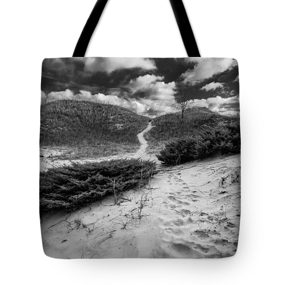 Landscape Tote Bag featuring the photograph Go Between by Josh Eral