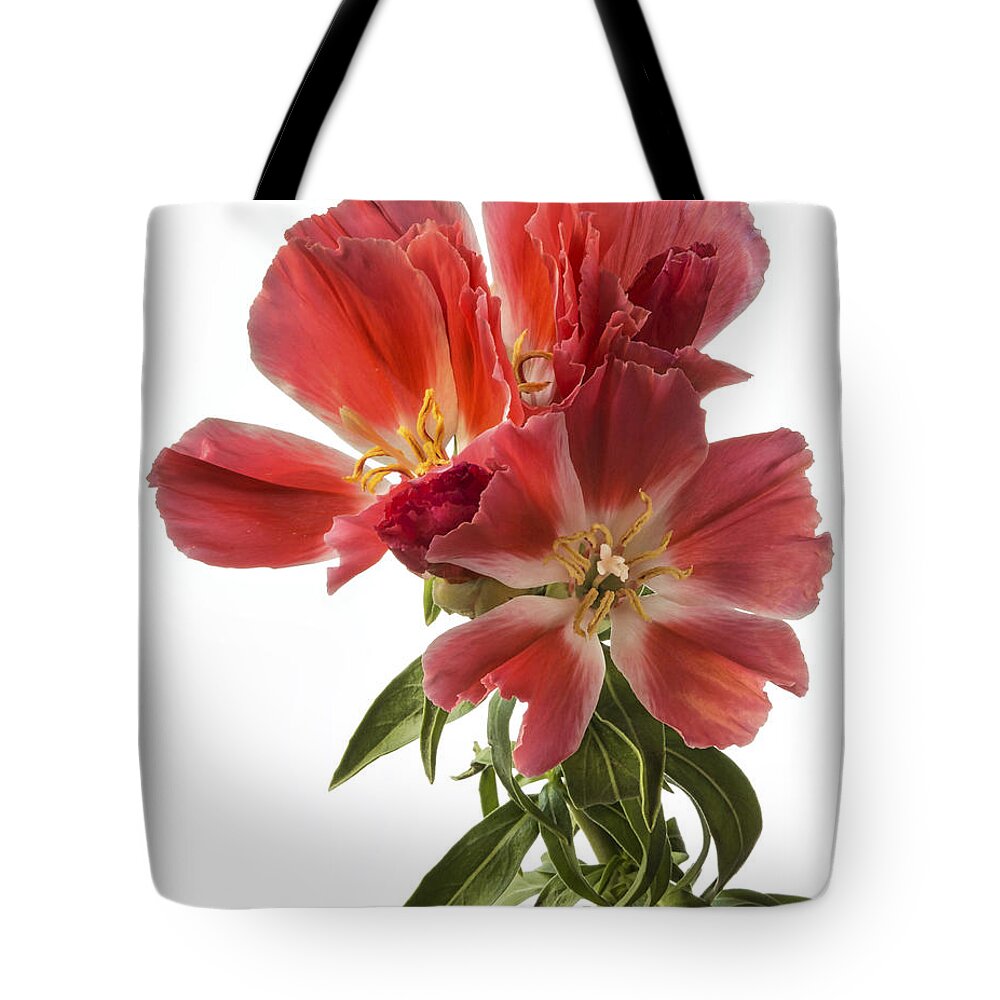 Flower Tote Bag featuring the photograph Godacia by Endre Balogh