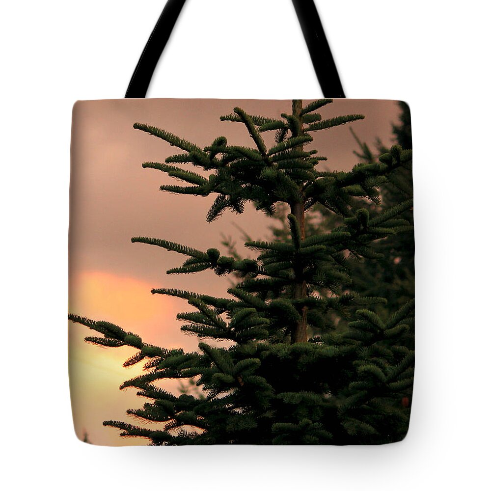 Sunset Tote Bag featuring the photograph God's Gift by Jeanette C Landstrom
