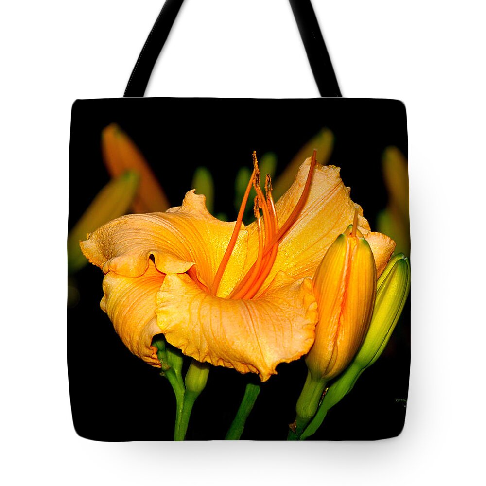 Flower Photography Tote Bag featuring the photograph Gold Rush by Patricia Griffin Brett
