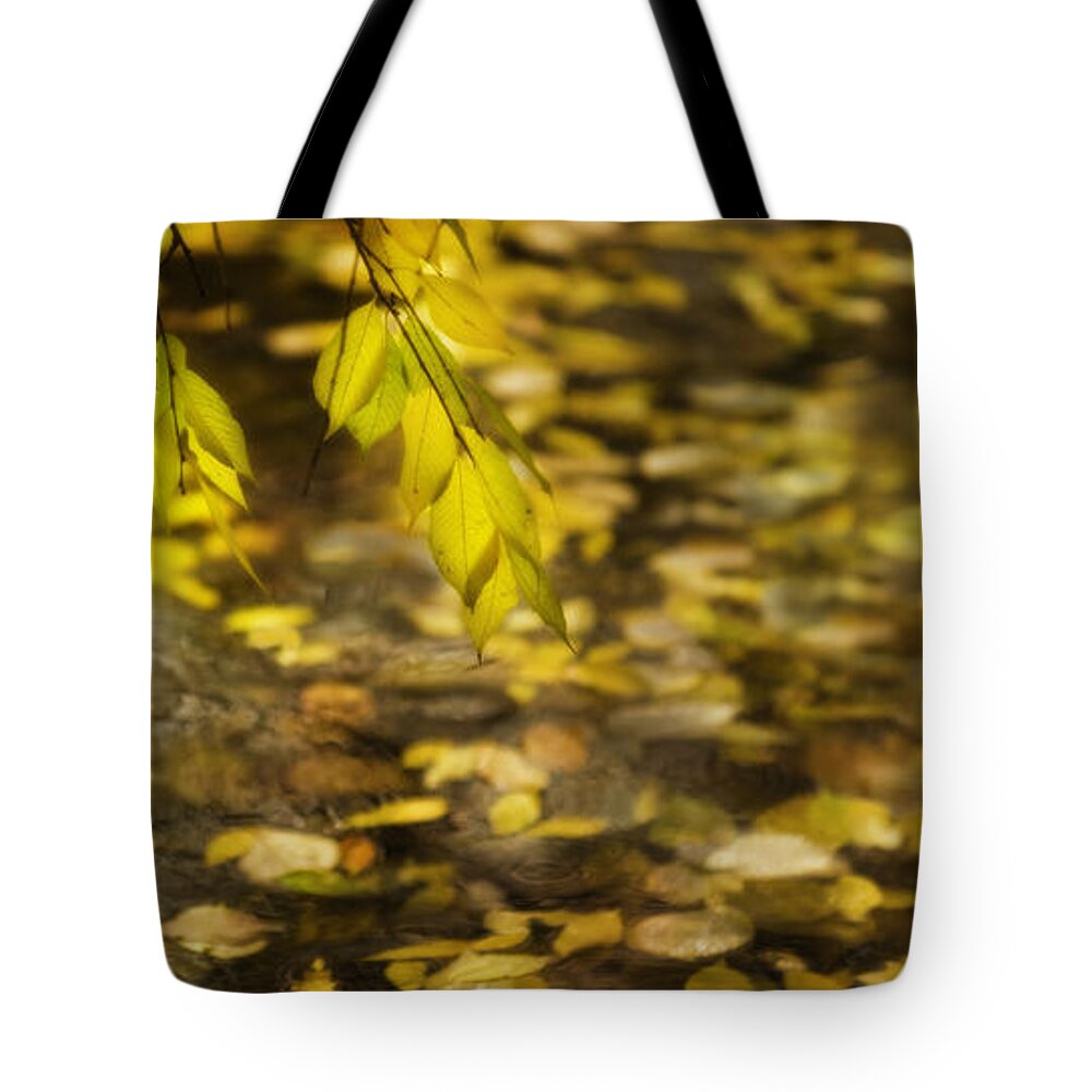 Karya Park Toronto Tote Bag featuring the photograph Golden autumn colour foliage on rainy pond by Peter V Quenter