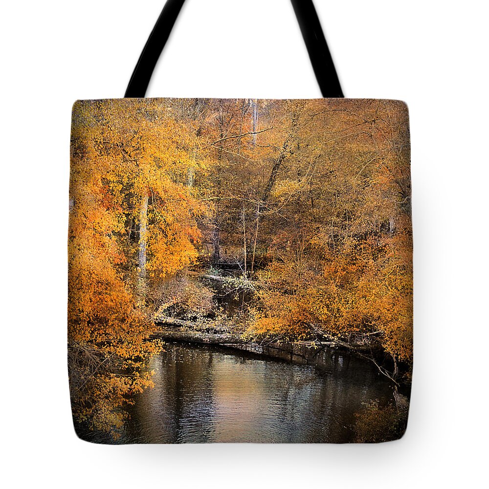 Autumn Tote Bag featuring the photograph Golden Blessings by Jai Johnson