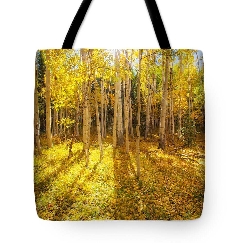 Aspens Tote Bag featuring the photograph Golden by Darren White