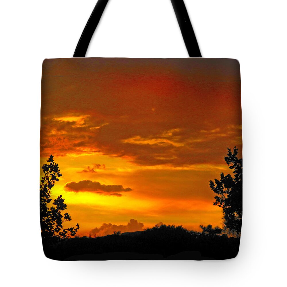 Sunrise Tote Bag featuring the photograph Golden Dawn by Mark Blauhoefer