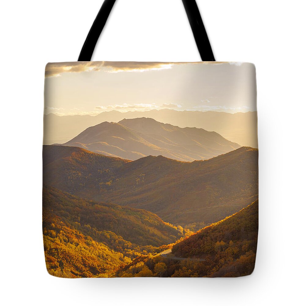 Big Mountain Pass Tote Bag featuring the photograph Golden Fall by Emily Dickey