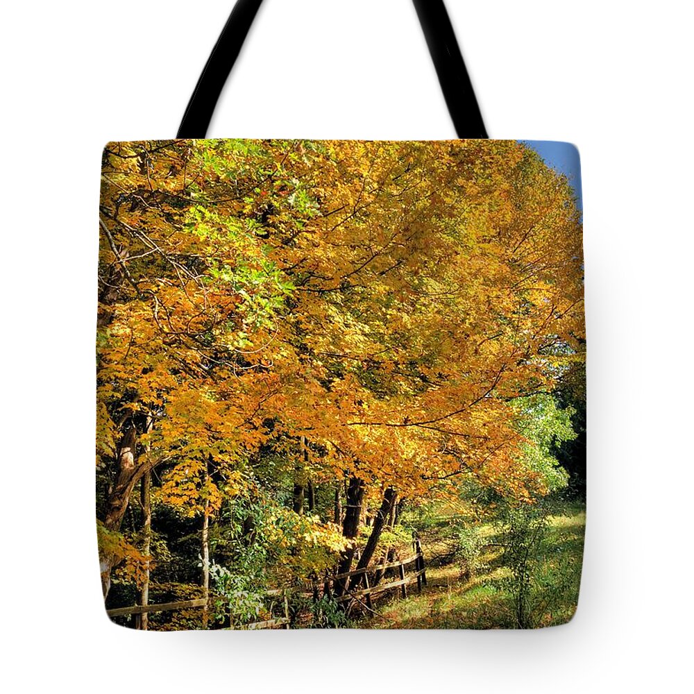 6447 Tote Bag featuring the photograph Golden Fenceline by Gordon Elwell