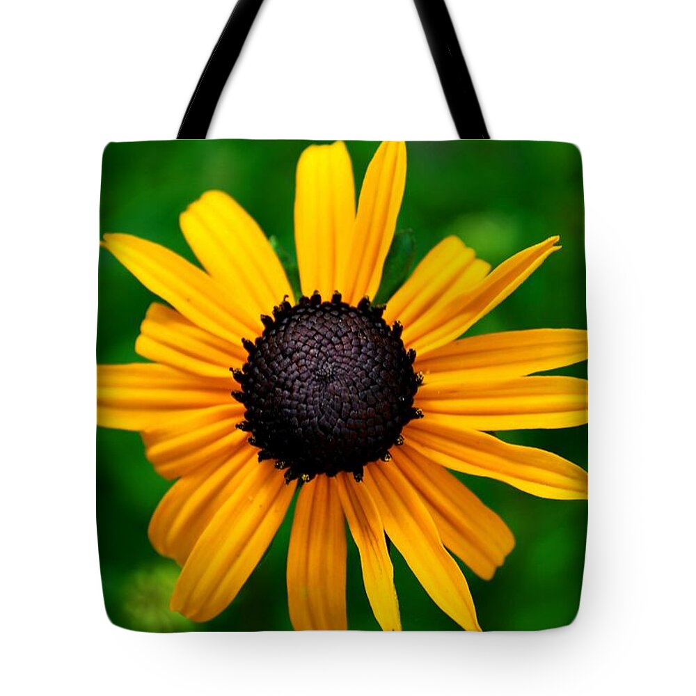  Tote Bag featuring the photograph Golden Flower by Matt Quest
