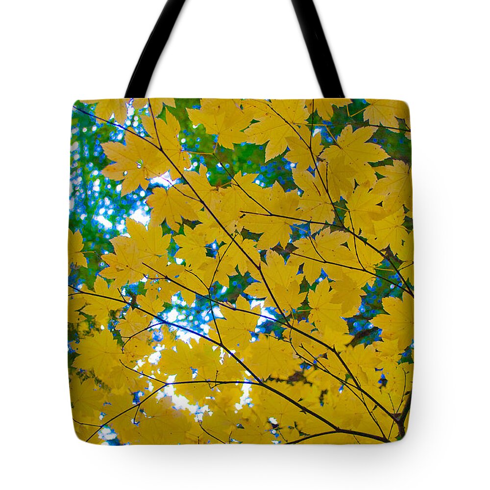 Golden Leaves Of Autumn Tote Bag featuring the photograph Golden Leaves of Autumn by Tikvah's Hope