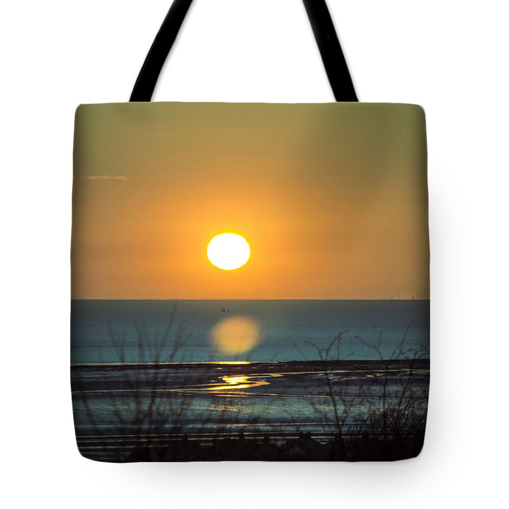 Golden Tote Bag featuring the photograph Golden Orb by Spikey Mouse Photography