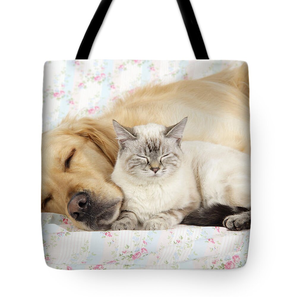 Dog Tote Bag featuring the photograph Golden Retriever And Cat by John Daniels