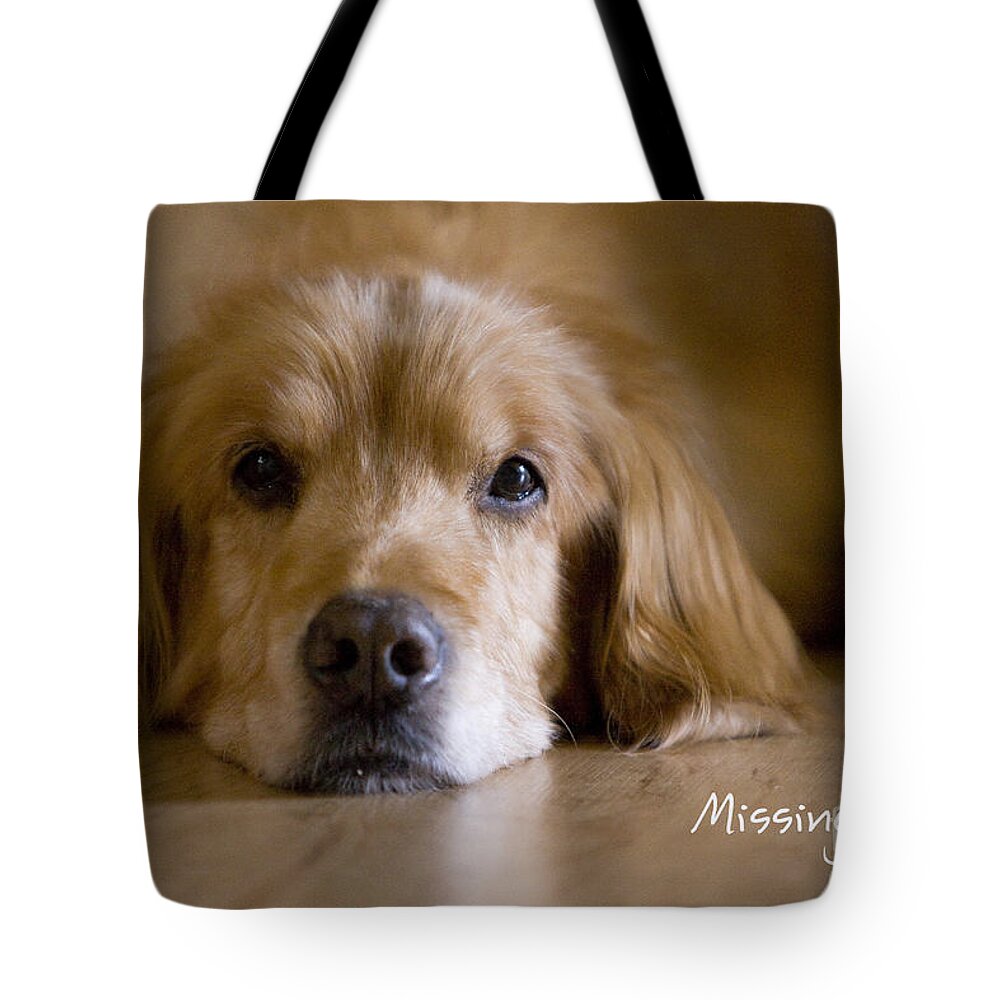 Golden Retriever Tote Bag featuring the photograph Golden Retriever Missing You by James BO Insogna