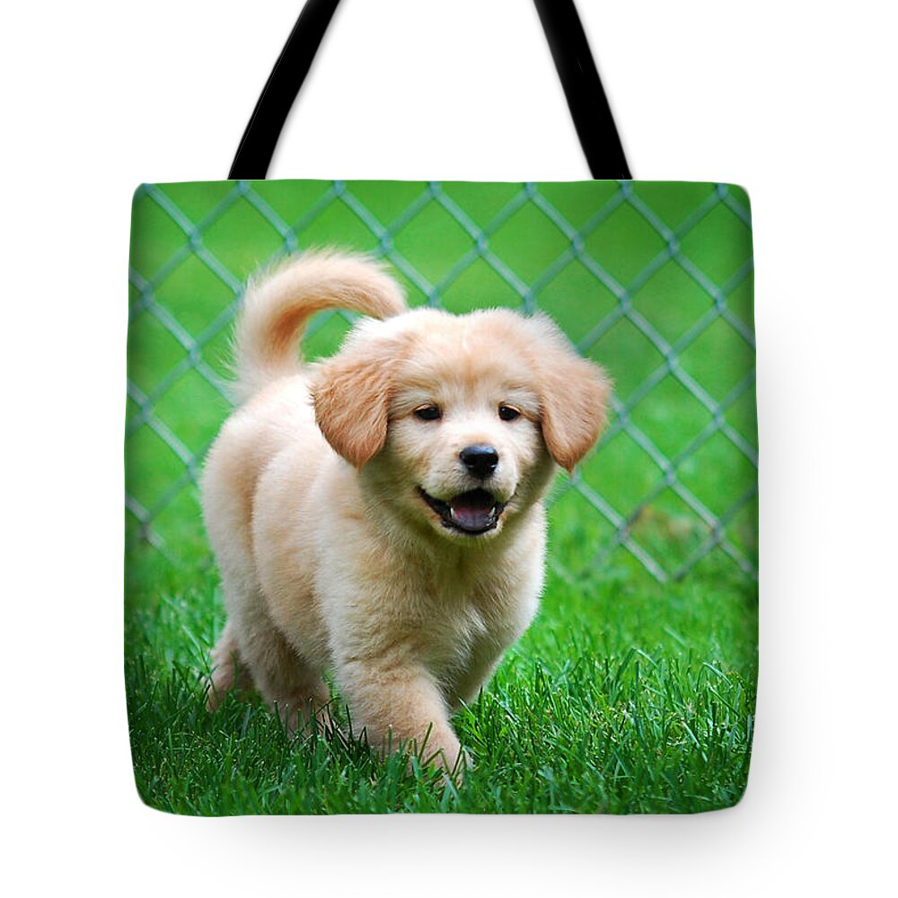 Golden Retriever Tote Bag featuring the photograph Golden Retriever Puppy by Christina Rollo