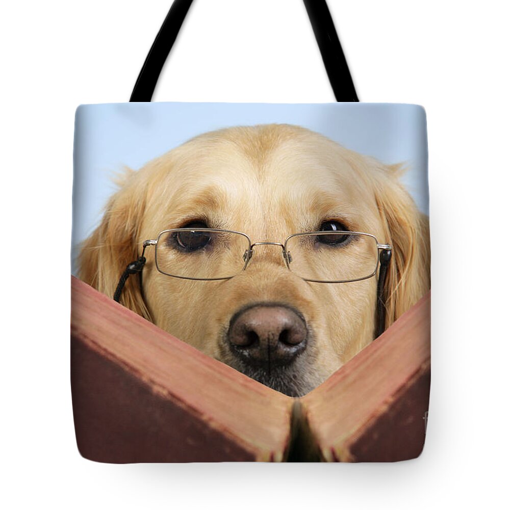 Dog Tote Bag featuring the photograph Golden Retriever Reading Book by John Daniels