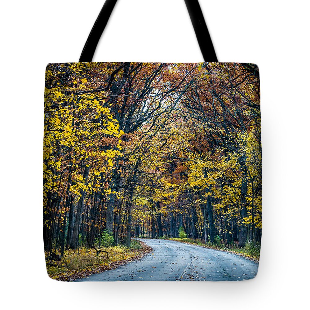 Road Tote Bag featuring the photograph Golden Road by David Downs
