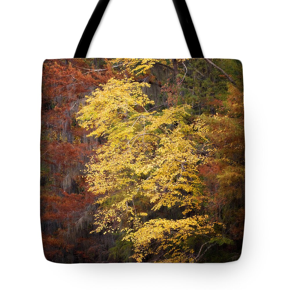 Autumn Tote Bag featuring the photograph Golden Rust by Lana Trussell