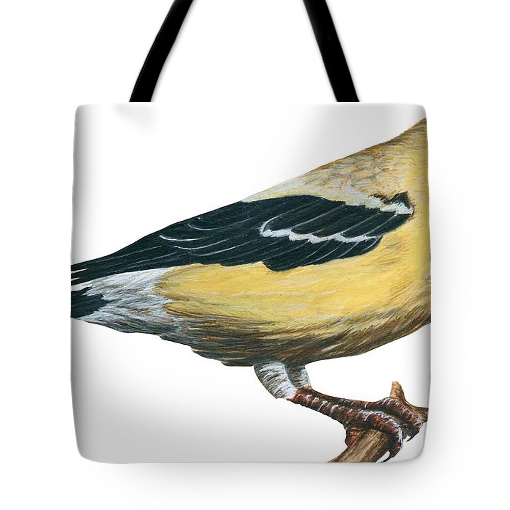 Goldfinch Tote Bag featuring the drawing Goldfinch by American School